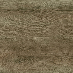 Quercia