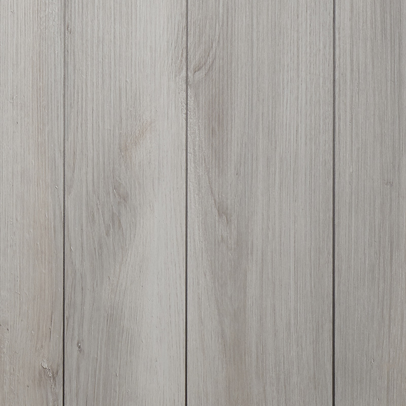 essenza legno pino bianco